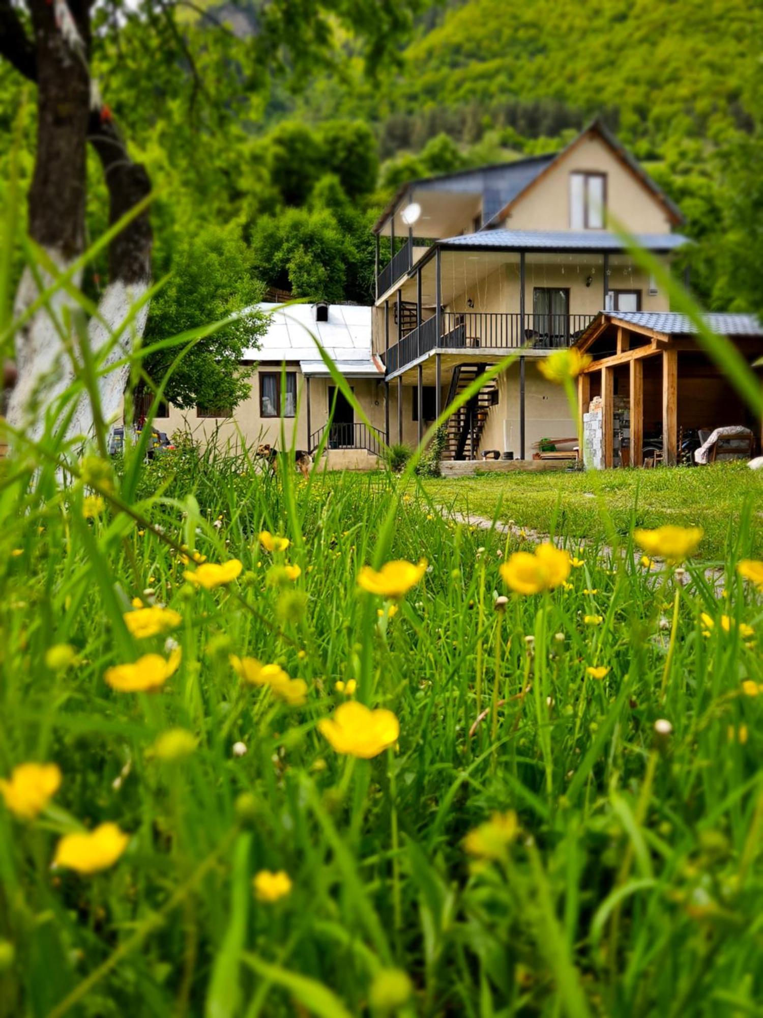 House B&B Местия Экстерьер фото